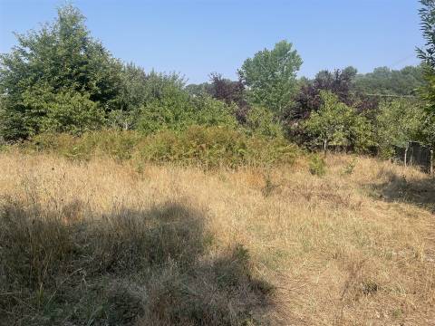 Terreno Para Construção  Venda em Vila de Cucujães,Oliveira de Azeméis