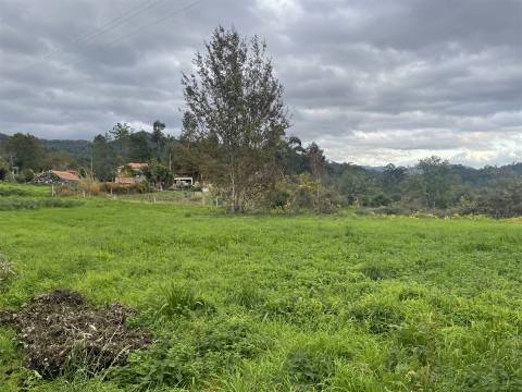 Moradia T4 Venda em Junqueira,Vale de Cambra