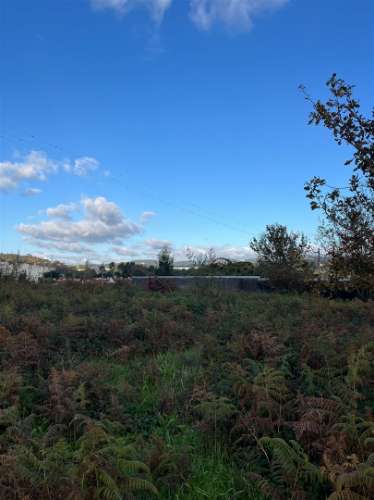 Terreno Rústico  Venda em Vila de Cucujães,Oliveira de Azeméis