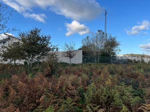 Terreno Rústico  Venda em Vila de Cucujães,Oliveira de Azeméis