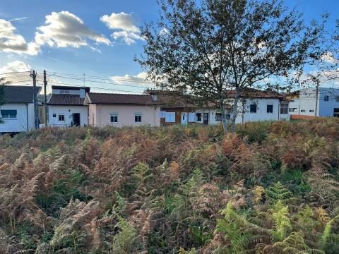 Terreno Rústico  Venda em Vila de Cucujães,Oliveira de Azeméis
