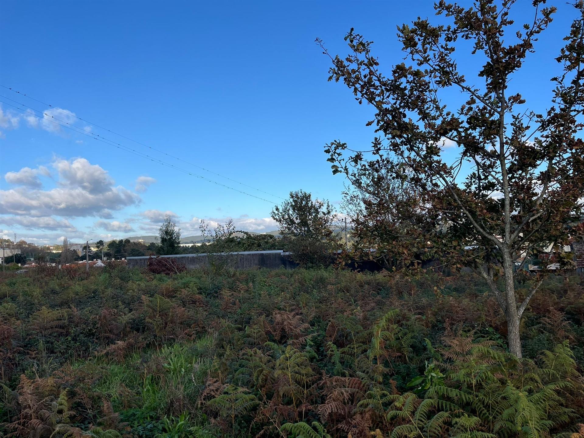 Terreno Rústico  Venda em Vila de Cucujães,Oliveira de Azeméis