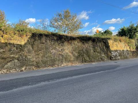 Terreno Rústico  Venda em Vila de Cucujães,Oliveira de Azeméis