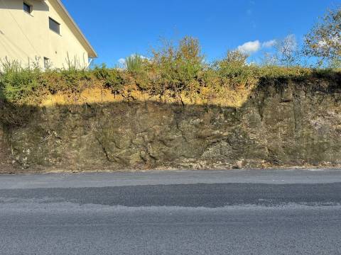 Terreno Rústico  Venda em Vila de Cucujães,Oliveira de Azeméis