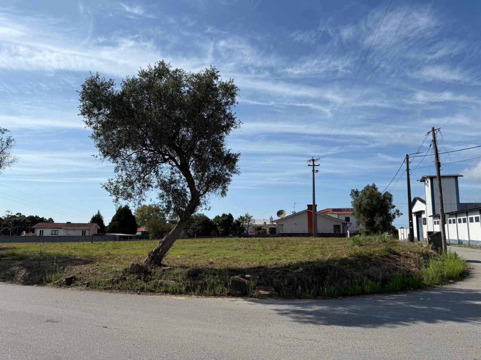 Terreno Para Construção  Venda em São Paio de Oleiros,Santa Maria da Feira