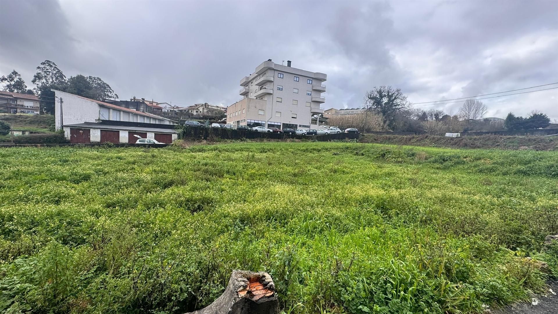 Terreno Rústico  Venda em Vila de Cucujães,Oliveira de Azeméis
