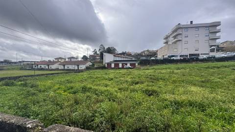Terreno Rústico  Venda em Vila de Cucujães,Oliveira de Azeméis