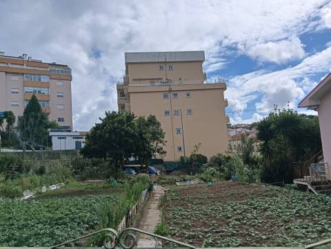 Terreno Para Construção  Venda em Oliveira de Azeméis, Santiago de Riba-Ul, Ul, Macinhata da Seixa e Madail,Oliveira de Azeméis