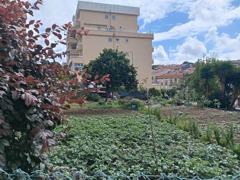 Terreno Para Construção  Venda em Oliveira de Azeméis, Santiago de Riba-Ul, Ul, Macinhata da Seixa e Madail,Oliveira de Azeméis