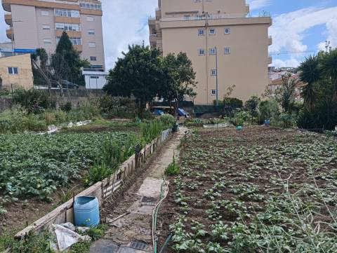 Terreno Para Construção  Venda em Oliveira de Azeméis, Santiago de Riba-Ul, Ul, Macinhata da Seixa e Madail,Oliveira de Azeméis