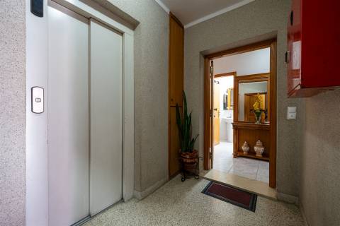 Apartamento T3 Venda em Oliveira de Azeméis, Santiago de Riba-Ul, Ul, Macinhata da Seixa e Madail,Oliveira de Azeméis