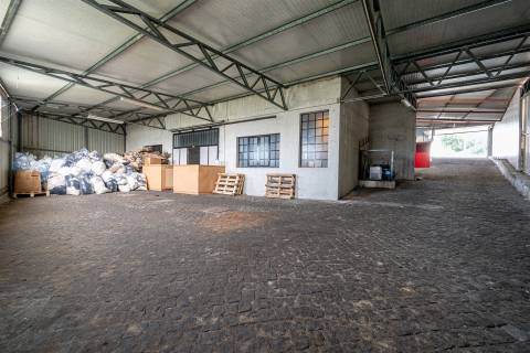 Fábrica/Indústria  Venda em São Roque,Oliveira de Azeméis