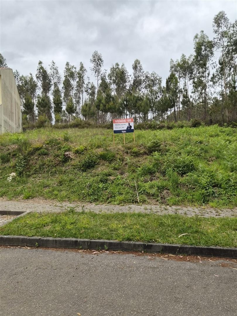 Loteamento  Venda em Macieira de Sarnes,Oliveira de Azeméis