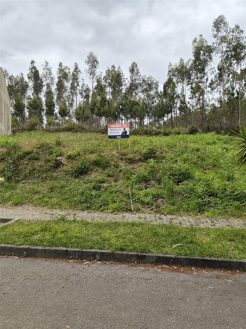 Loteamento  Venda em Macieira de Sarnes,Oliveira de Azeméis