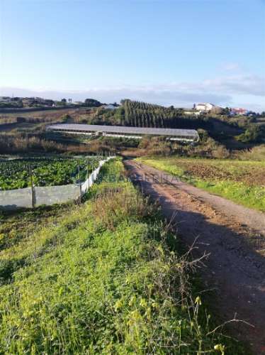 Lote de Terreno  Venda em A dos Cunhados e Maceira,Torres Vedras