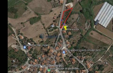 Terreno Rústico  Venda em Carvoeira e Carmões,Torres Vedras