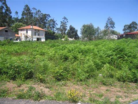Terreno para construção 3 Moradias - Carvalhos