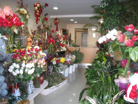 Loja para TRESPASSE no Centro de Avintes