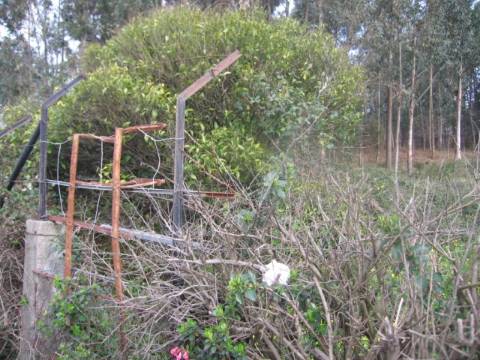 Terreno  Venda em São Félix da Marinha,Vila Nova de Gaia
