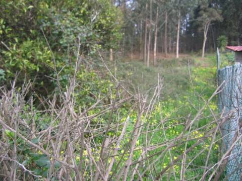 Terreno  Venda em São Félix da Marinha,Vila Nova de Gaia