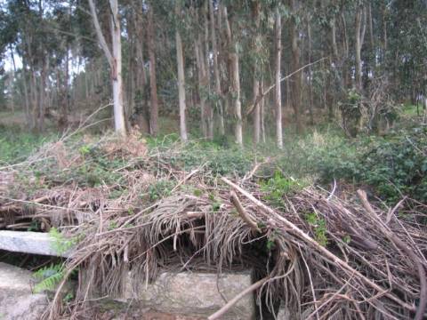 Terreno  Venda em São Félix da Marinha,Vila Nova de Gaia