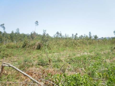 Terreno  Venda em Serzedo e Perosinho,Vila Nova de Gaia