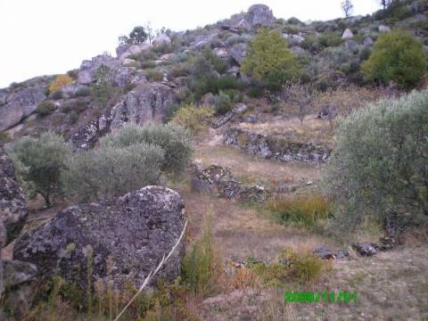 Terreno  Venda em Pereiros,Carrazeda de Ansiães