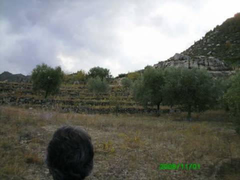 Terreno  Venda em Pereiros,Carrazeda de Ansiães