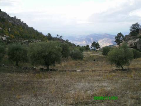 Terreno  Venda em Pereiros,Carrazeda de Ansiães