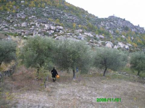 Terreno  Venda em Pereiros,Carrazeda de Ansiães