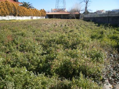 Terreno  Venda em Grijó e Sermonde,Vila Nova de Gaia