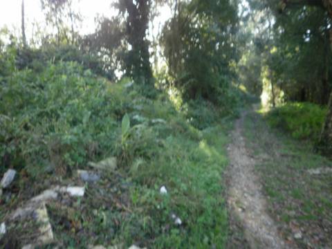 Terreno  Venda em Serzedo e Perosinho,Vila Nova de Gaia