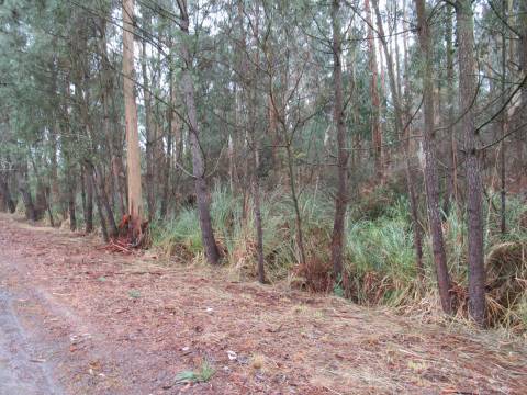 TERRENO PARA VENDA EM VILA NOVA DE GAIA