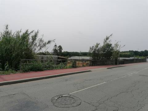 Terreno junto à Praia