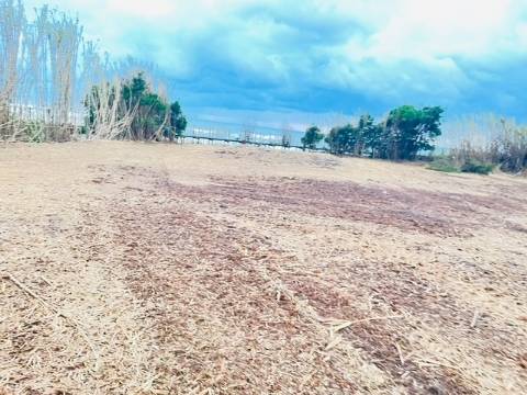 Terreno junto à Praia