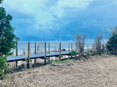 Terreno junto à Praia