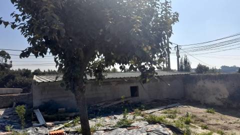 Moradia Térrea, em S. Paio de Oleiros, concelho de Santa Maria da Feira