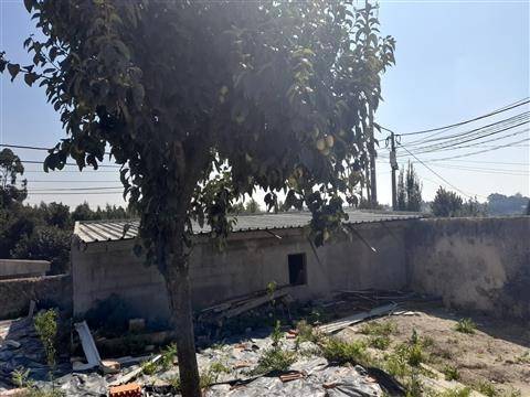 Moradia Térrea, em S. Paio de Oleiros, concelho de Santa Maria da Feira