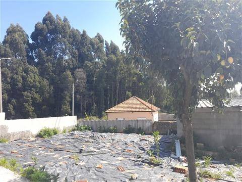 Moradia Térrea, em S. Paio de Oleiros, concelho de Santa Maria da Feira