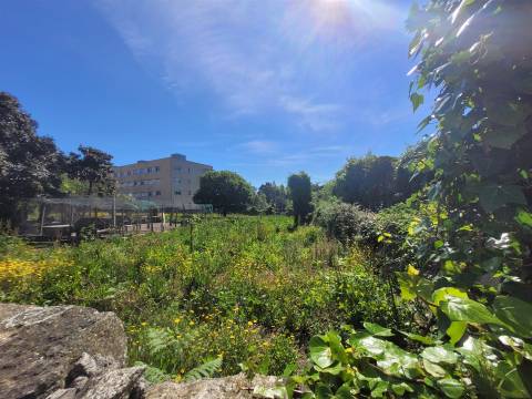 Terreno de 2.259 m2 com Moradia T3 para demolição em Leça do Balio! Matosinhos! Porto!