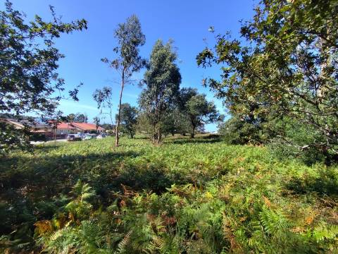 Terreno com PIP APROVADO para 16 Moradias!