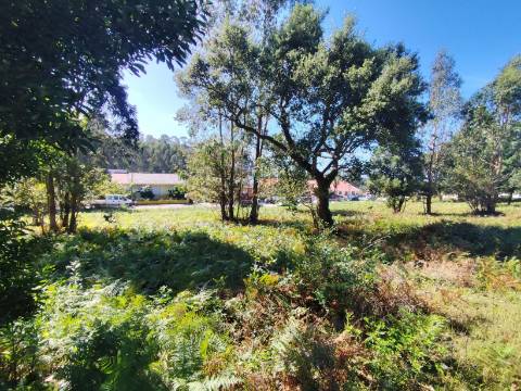 Terreno com PIP APROVADO para 16 Moradias!