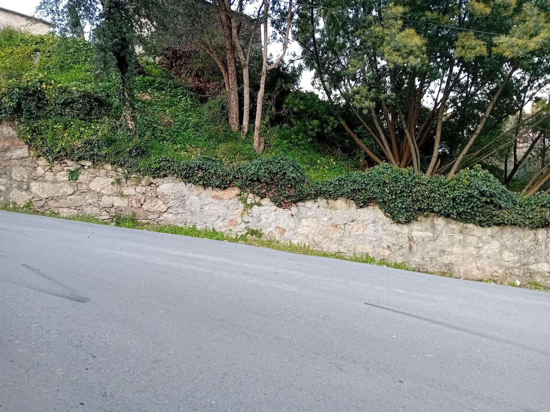 Terreno em Oliveira do Douro, para Construção de uma Moradia Isolada, ou duas Geminadas!