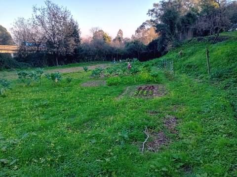 Terreno em Oliveira do Douro, para Construção de uma Moradia Isolada, ou duas Geminadas!