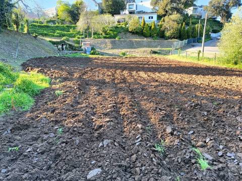 Terreno em Oliveira do Douro, para Construção de uma Moradia Isolada, ou duas Geminadas!