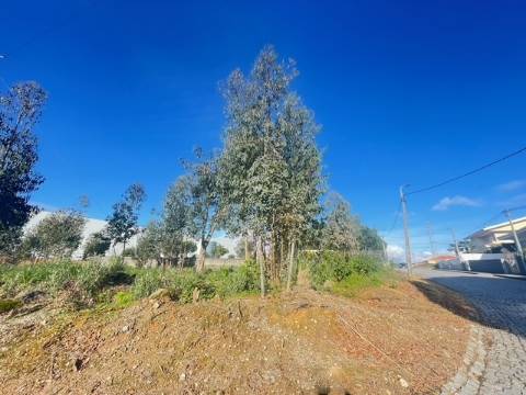 Terreno com 676m2, localizado próximo do Centro de Canelas!