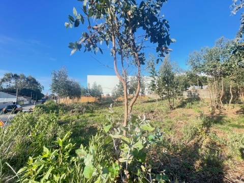 Terreno com 676m2, localizado próximo do Centro de Canelas!