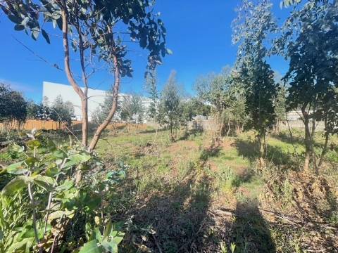 Terreno com 676m2, localizado próximo do Centro de Canelas!