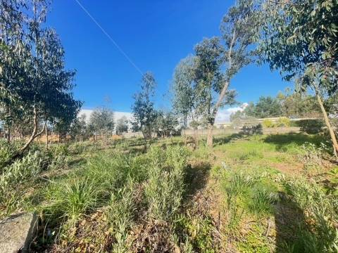 Terreno com 676m2, localizado próximo do Centro de Canelas!