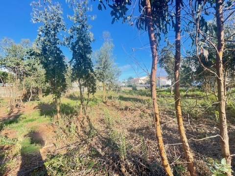 Terreno com 751m2, localizado próximo do Centro de Canelas!